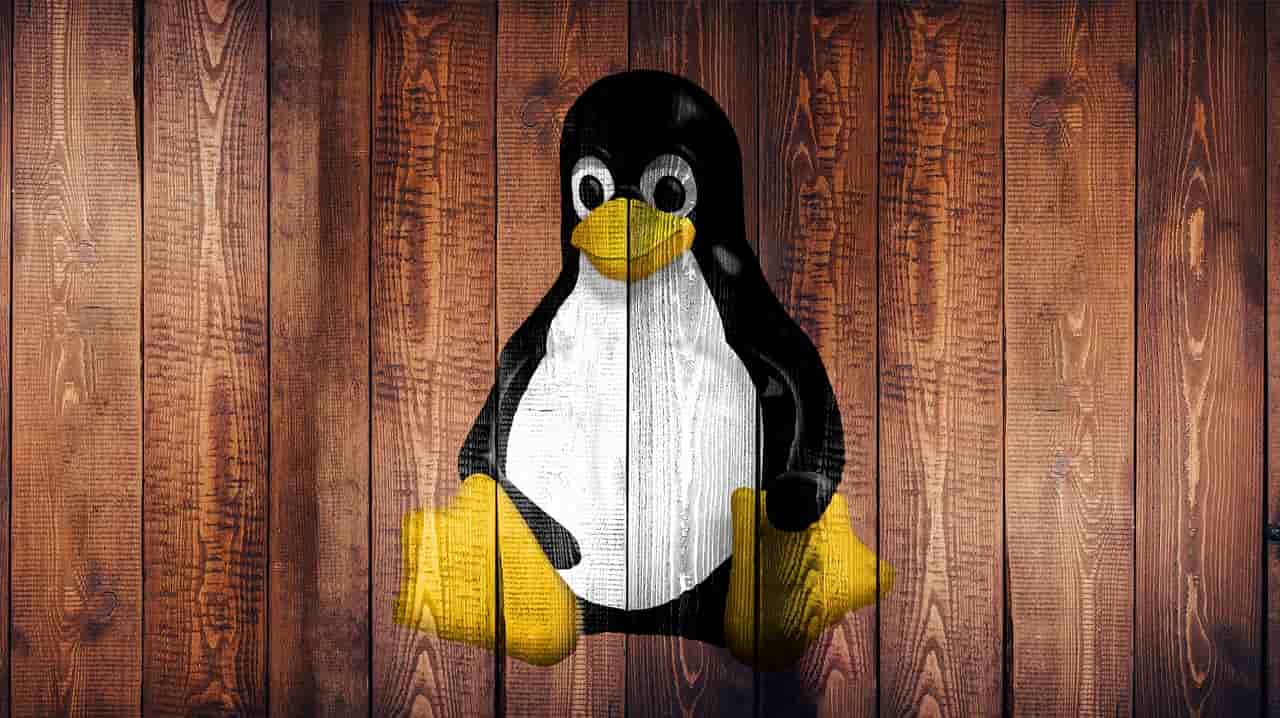 Tux penguin linux logo
