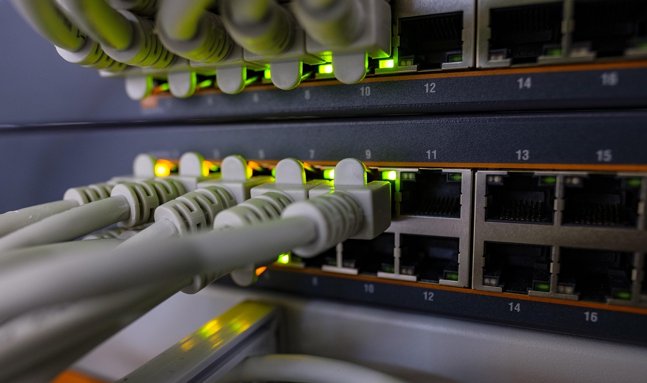 network switch
